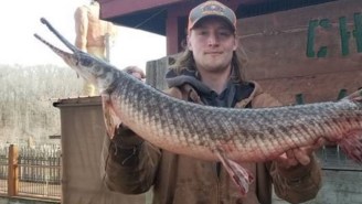 Missouri Fisherman Catches World Record Spotted Gar On Rod And Reel And Breaks 27-Year-Old Record
