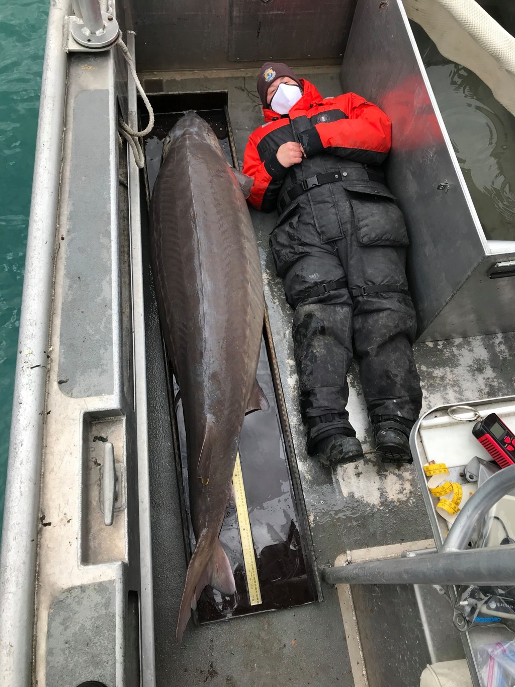 240-pound Lake Sturgeon Sea Monster