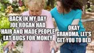 50 Of The Best Damn Photos On The Internet Today