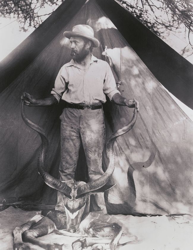 Carl Ethan Akeley, American taxidermist, sculptor, naturalist, and explorer, has taken many trips to Africa. Carl is shown here holding of a Kudu head.