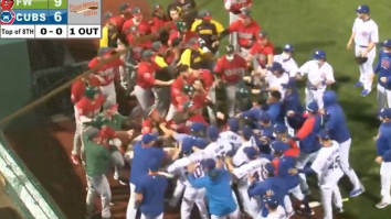 Minor League Teams For The Cubs And Padres Just Raised The Bar For Epic Baseball Fights