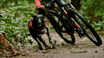 Insanely Athletic Trail-Running Dogs Tear Down Mountain Bike Tracks In Touching Video About Man’s Best Friend