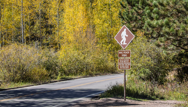 Woman Reports Encounter With 8-Foot-Tall Bigfoot In Ohio Area Known For Sightings