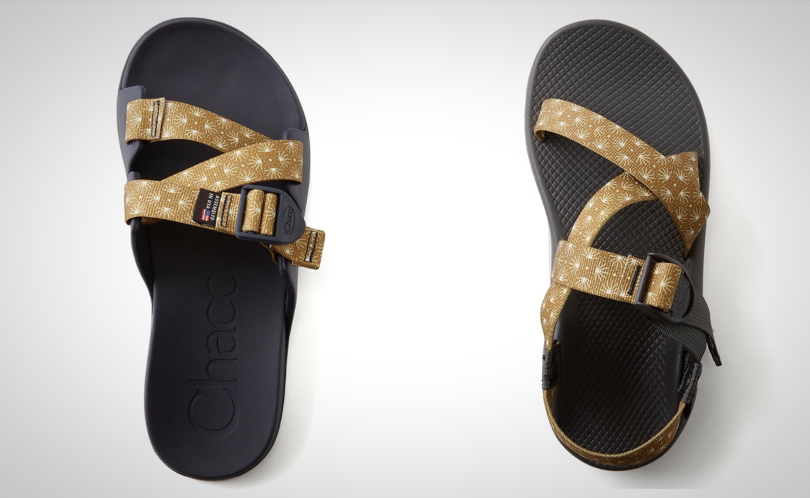 Creed golden online chacos