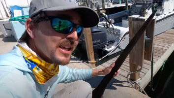 Captain Finds Rare Lancetfish Inside Of A Swordfish Belly And It Legit Looks Like A Sea Dragon