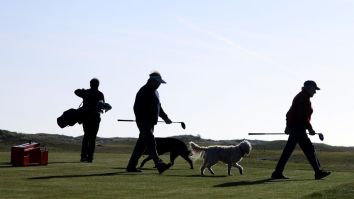Man Arrested For Allegedly Shooting And Killing A Dog After It Took His Golf Ball