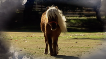 Mouse Rat From ‘Parks And Rec’ Dropped A Music Video For Its Li’l Sebastian Tribute And You’ll Want Some Tissues Nearby
