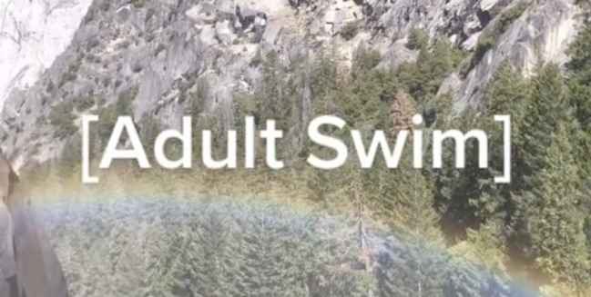 Adult Swim TikTok