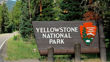 Comedian Who Filmed Himself Golfing At Yellowstone National Park Is Now Under Federal Investigation