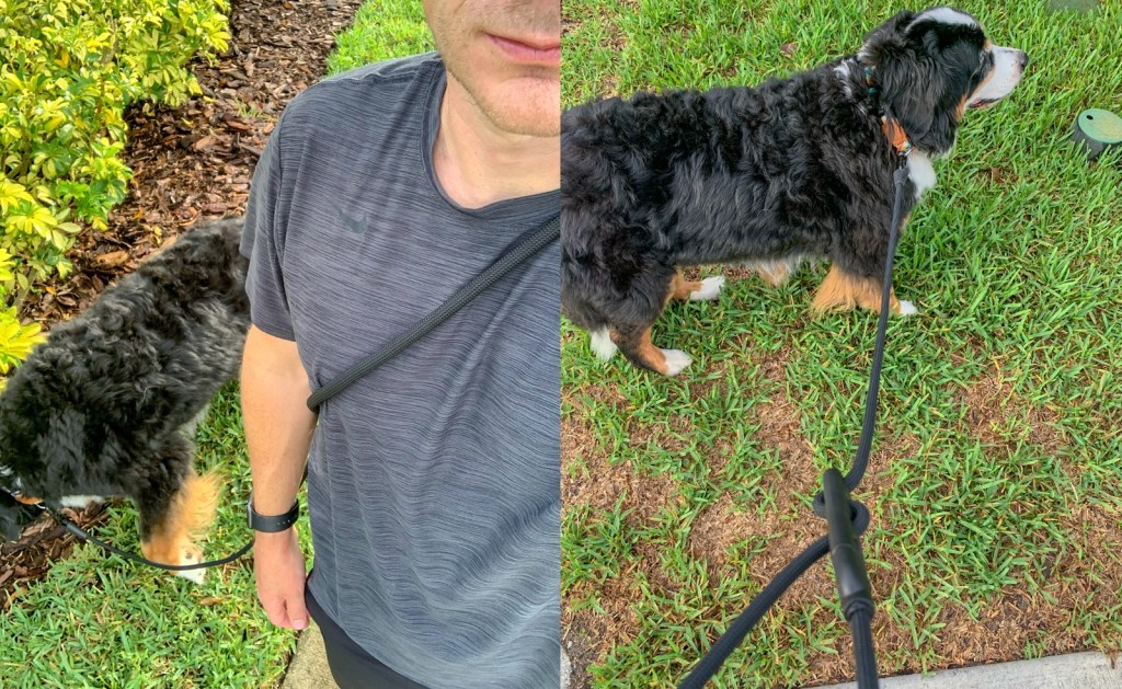 Hands-Free Dog Leashes Zee.Dog adjustable rope dog leash