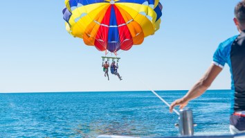 Agonizing Video Shows Moment Man Becomes Victim Of Shark Attack While Parasailing