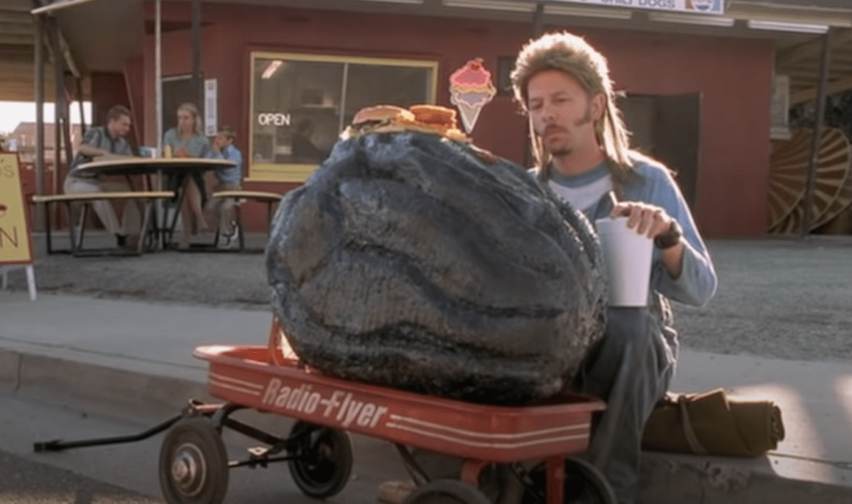 An Ice Block Full Of Poop Fell From A Plane Into A Neighborhood