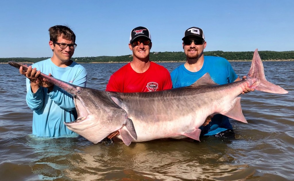 new fishing world record paddlefish 164 pounds Oklahoma