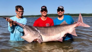 New World Record Paddlefish Caught In Oklahoma Looks Like A Drunk Person Tried To Draw A Dinosaur Shark