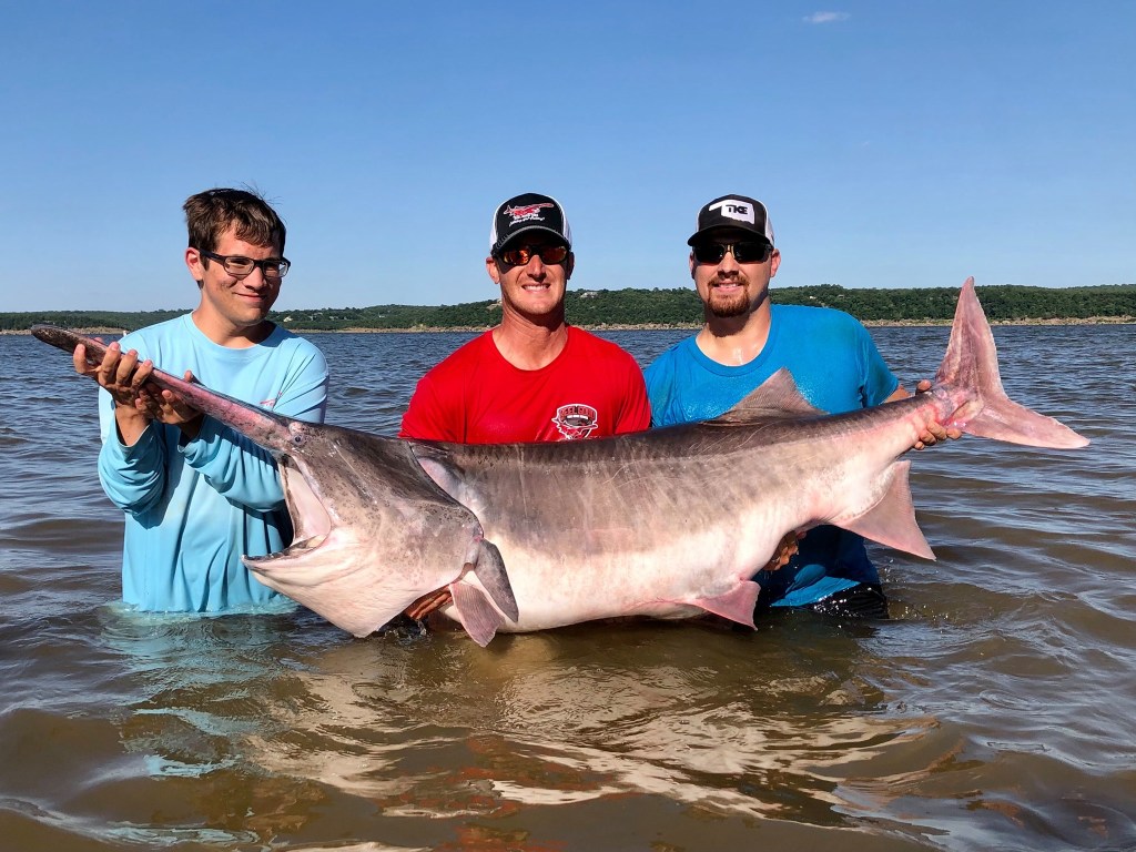 new fishing world record paddlefish 164 pounds Oklahoma