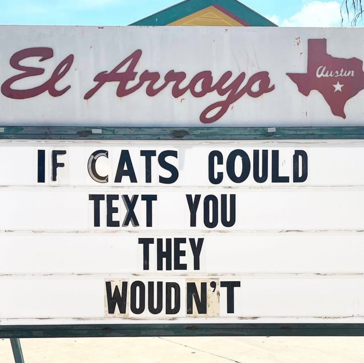 50-best-memes-cats-texting.png