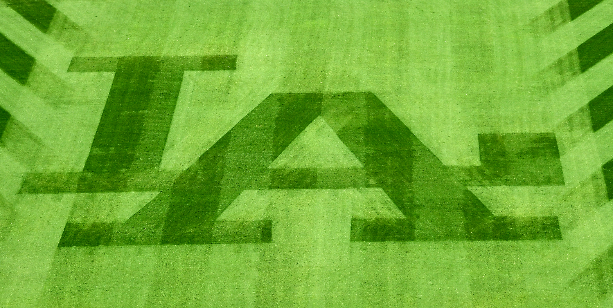 Drake Rents Out Dodger Stadium For Date Night With Johanna Leia