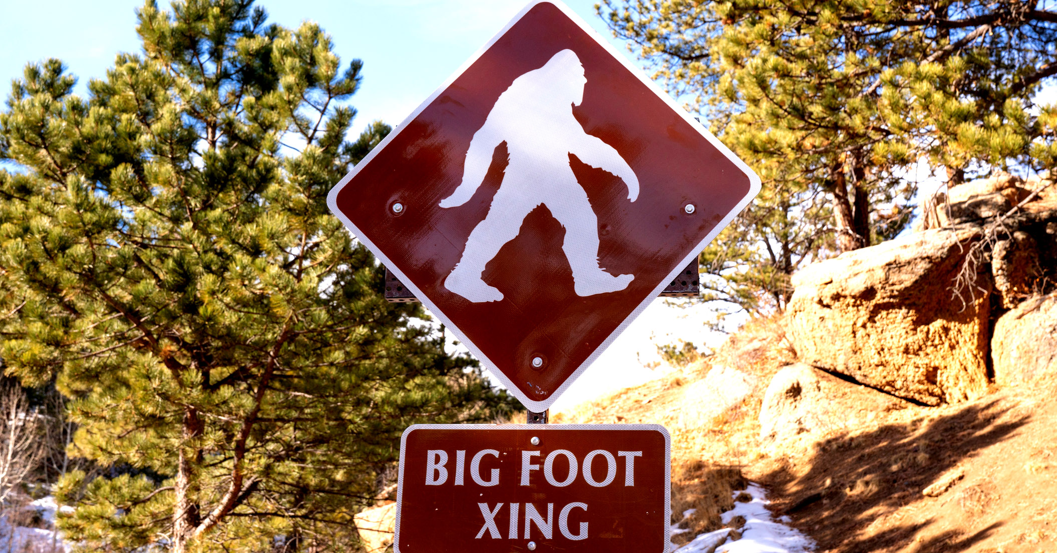 recent bigfoot sightings