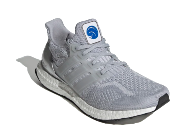 adidas Ultraboost 5.0 DNA shoes