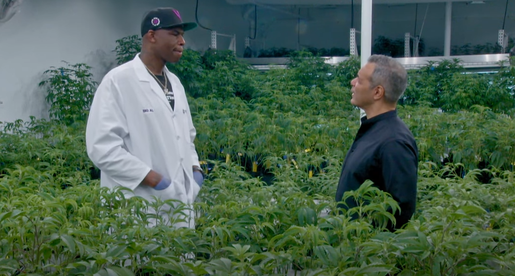Ex-Pacer Al Harrington went from to NBA to booming marijuana business
