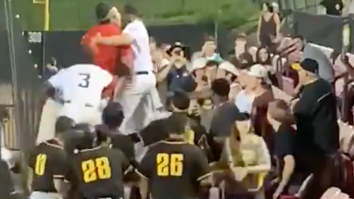 All Hell Broke Loose At A Baseball Game When Players Tried To Fight A Fan Who Chucked A Beer At Them