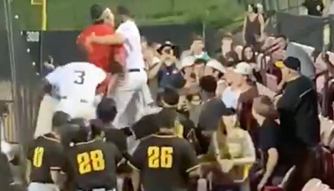 baseball players fight beer throwing fan