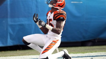 Chad Johnson Explains Wild TD Celebration He Had Planned But Never Actually Got To Do During NFL Career