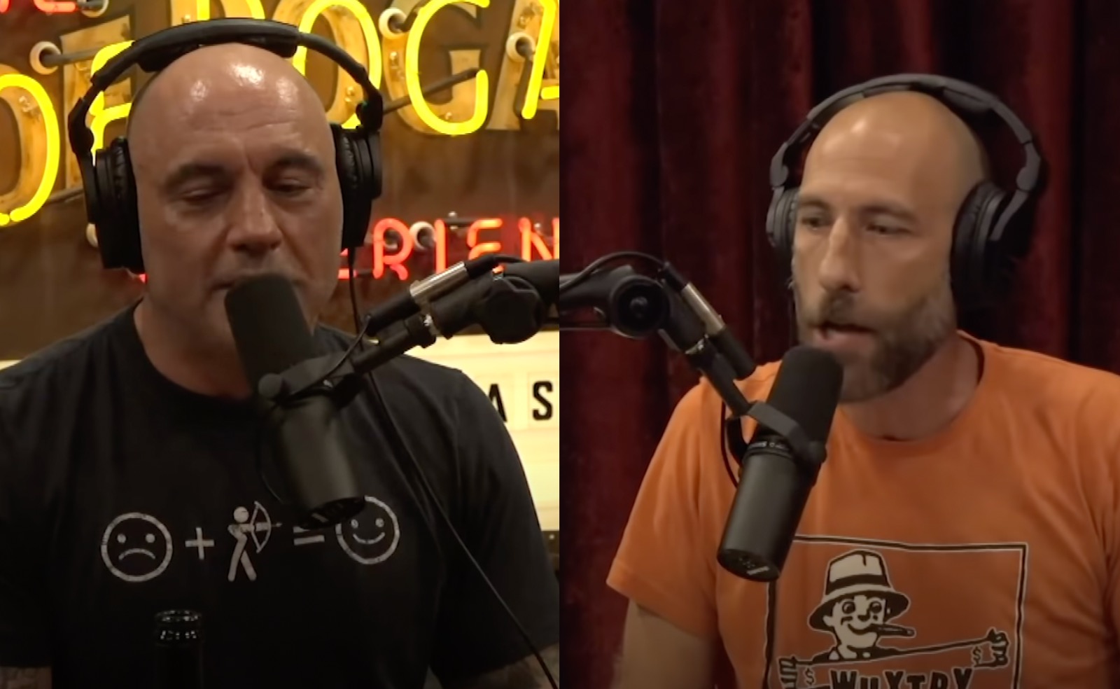 Joe Rogan And Ari Shaffir Discuss Tripping Hard On Ayahuasca