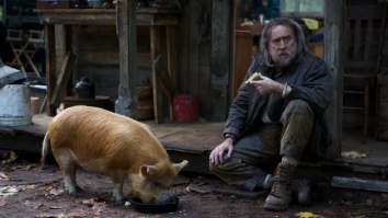 Nic Cage’s New Movie About Losing His Beloved Truffle Pig Is Apparently Excellent