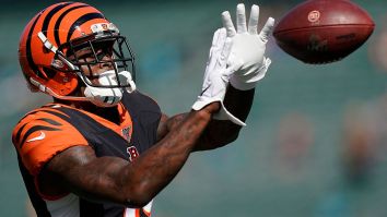 WATCH: Bengals WR Auden Tate Made The Craziest Catch Of The Preseason