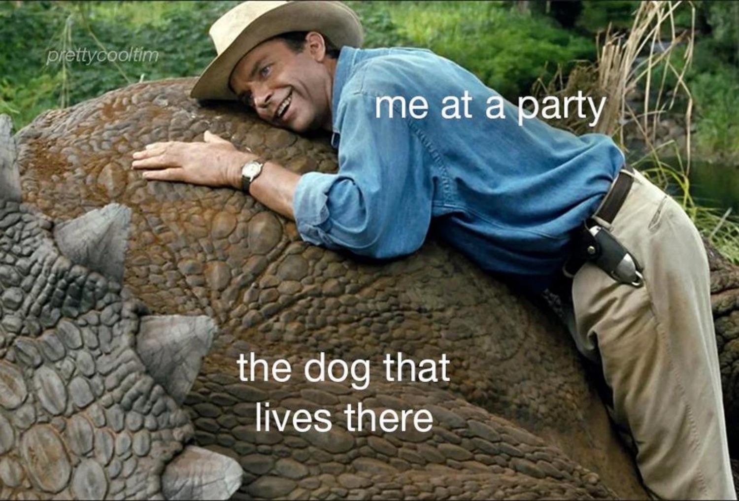 best memes about parties