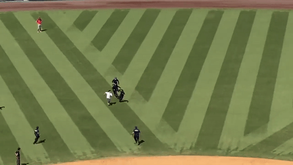 Dodgers Fan On Field Security Guard Pursuit