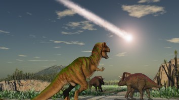 Scientists Discovered Origin Of Dinosaur-Killing Asteroid And It’s Dark