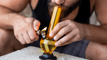 Twitter Thread Of The Craziest Experiences People Had Tripping On Salvia Proves We Were Lucky To Survive The 2000s