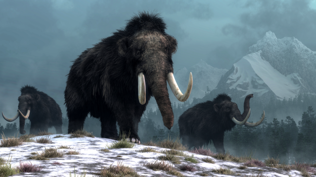 New Company Says It Will Be Bringing The Woolly Mammoth Back Within 6 Years