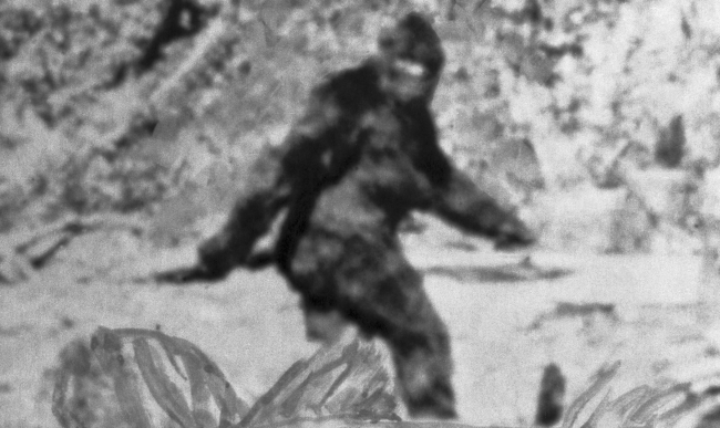 Pair Of Bigfoot Spotted Entering Coal Mine In The Mountains Of Northwest Kentucky