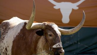 Texas University Deletes Tweet Featuring Their Mascot Bevo In A Ghost Costume After People Called It Racist