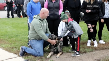 The Homecoming For This Wisconsin Police Dog That Survived Being Shot In The Face Will Give You Chills