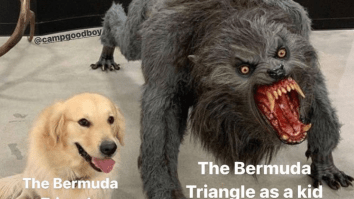 50 Of The Best Damn Photos On The Internet Today