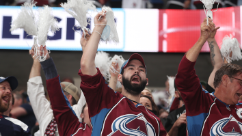 The Entire Colorado Avalanche Crowd Singing Blink-182’s ‘All The Small Things’ Is Pure Joy (Video)