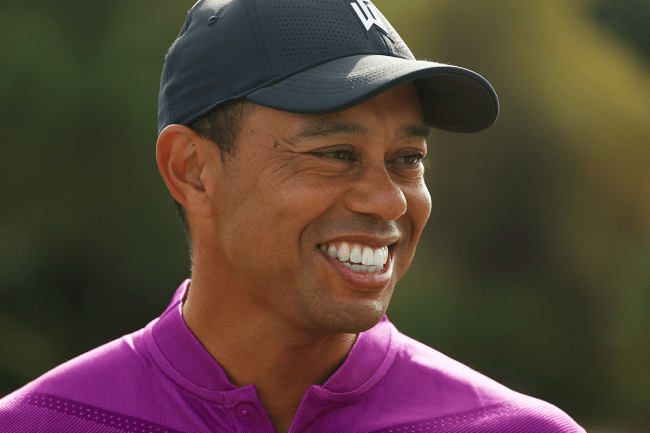 Tiger Woods Golfing Recovery Video Full Swing