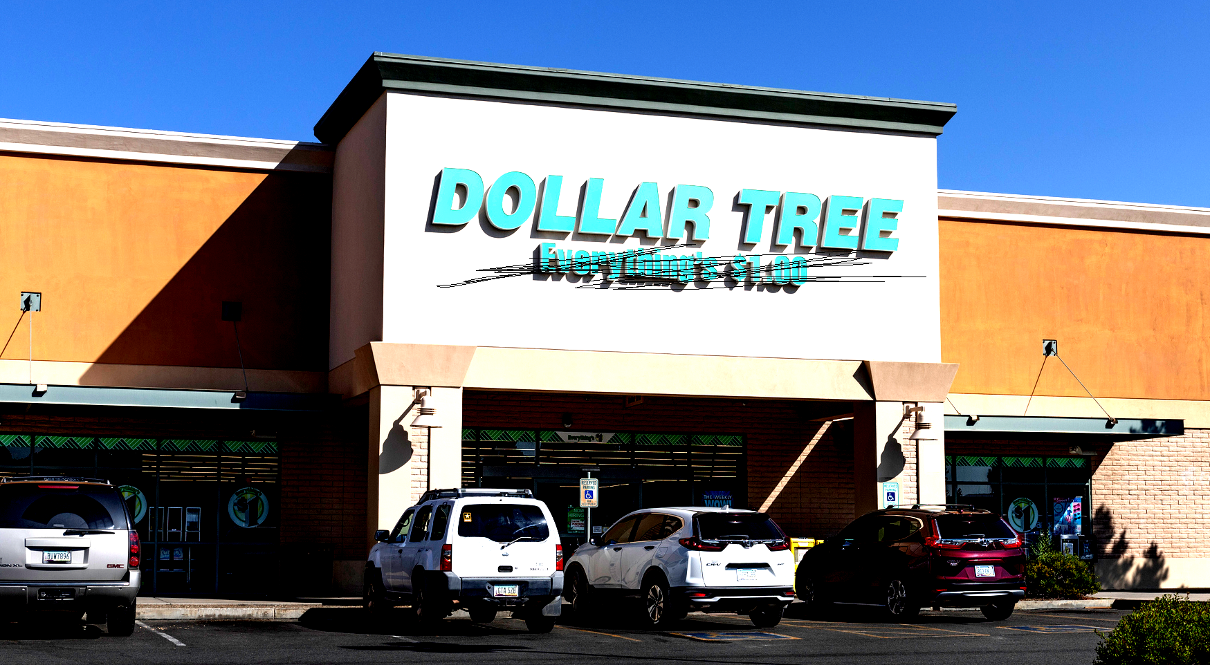 Sick to my stomach': Dollar Tree fanatics protest new $1.25 prices