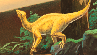 Scientists Discover More Than 100 Dinosaur Eggs In Ancient Nest, Jurassic Park Here We Come!