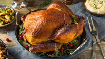 PETA’s Getting Roasted For An Awkward Meme They Tweeted About Stuffing Turkeys