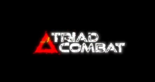 triller to start new fight league triad combat pitting mma fighters vs boxers with unique rules brobible