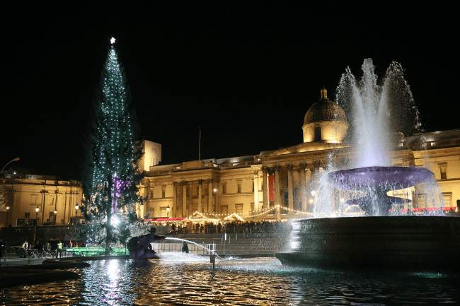 Norway London Christmas Tree Trafalgar Square 