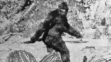 Expert Analysis Of Controversial 1967 Bigfoot Footage Yields Surprising Results