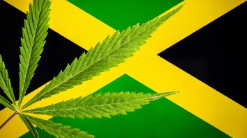Jamaica’s Government Released A Song About How Awesome Weed Is And It’s An Absolute Banger
