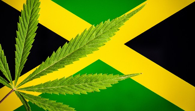 Jamaican Government Release Catchy Song About Marijuana Benefits