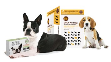 Learn More About Who Your Dog Is With Over $50 Off This DNA Test Kit